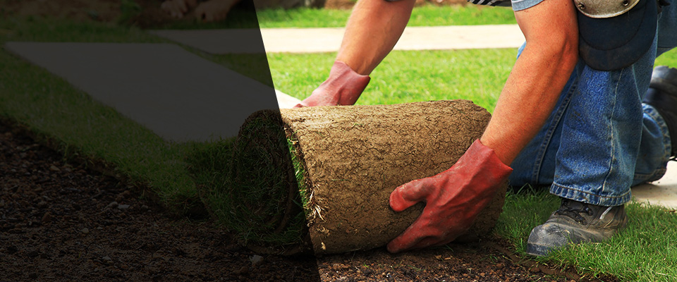 Bossier City Landscapers